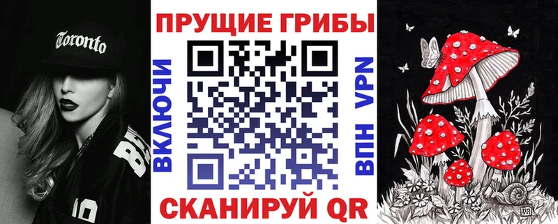 Купить  Одинцово  Галлюциногенные грибы Magic Shrooms 